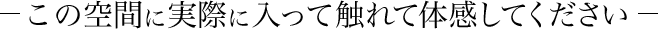 この空間に実際に入って触れて体感してください