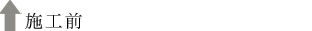 {HO